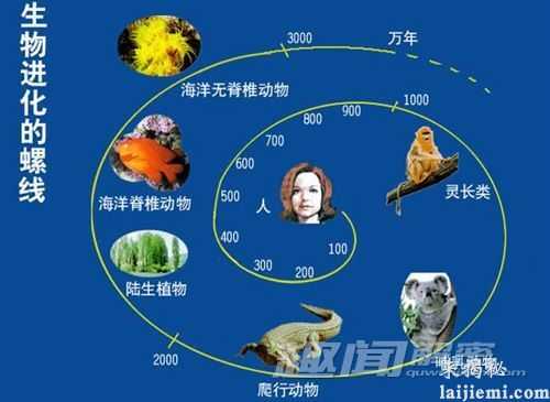 生物进化的十大奇迹 超个体现象706 / 作者:UFO来啦 / 帖子ID:64963