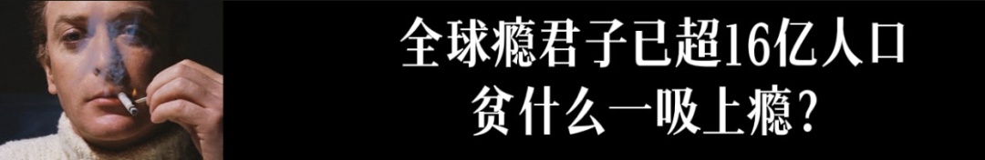 旅行者1号还存在吗？向人类发回珍贵映像，2025年会彻底与 ...792 / 作者:划翔的青鸟纲 / 帖子ID:98633