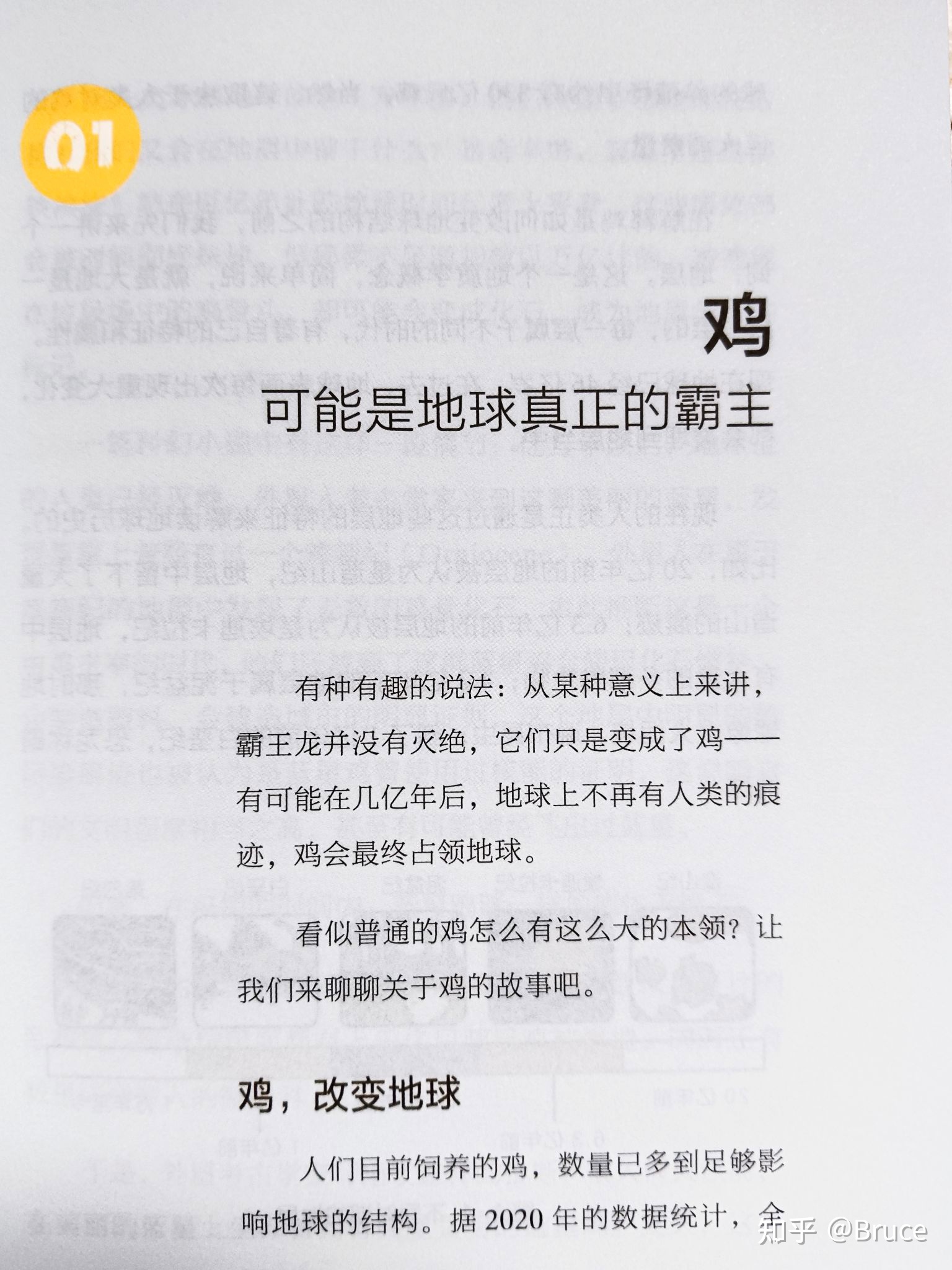 “鸡可能成为地球真正的霸主”为什么会这样说呢？理论根据在 ...429 / 作者:甚着维苦得 / 帖子ID:98828