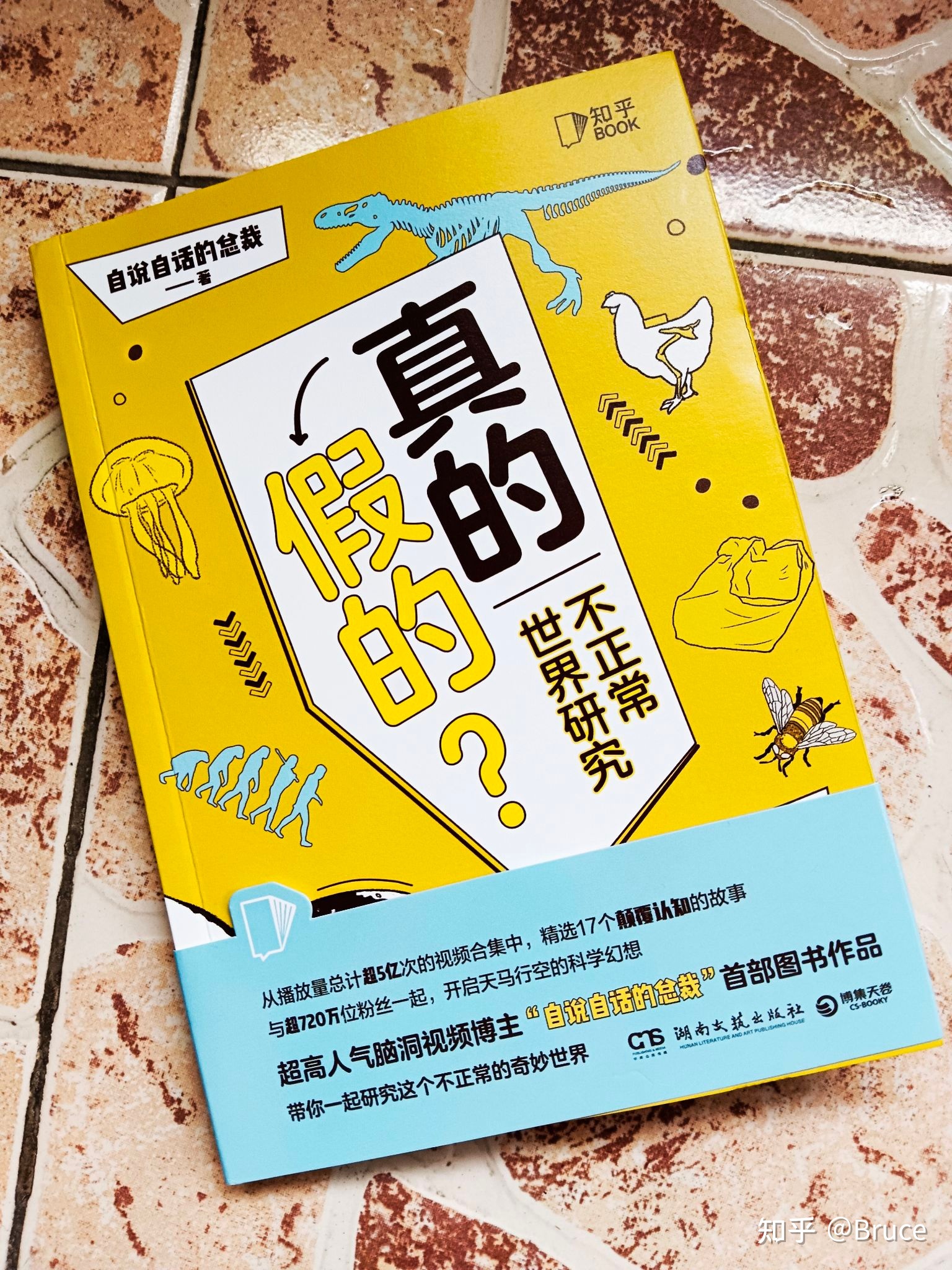 “鸡可能成为地球真正的霸主”为什么会这样说呢？理论根据在 ...572 / 作者:甚着维苦得 / 帖子ID:98828