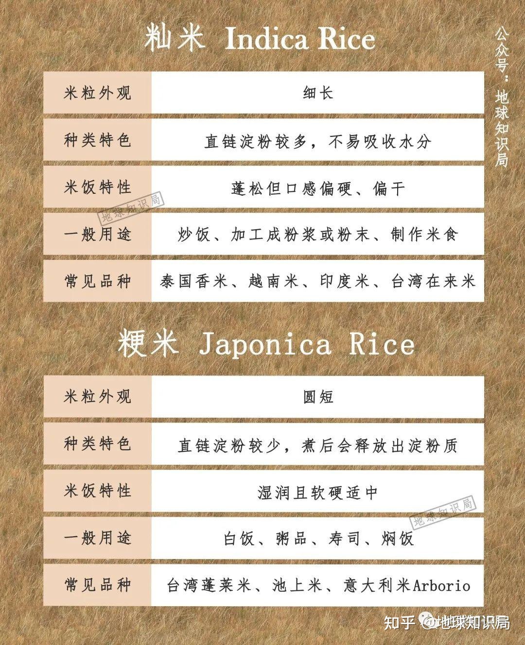 泰国米，从小吃到大 | 地球知识局780 / 作者:教们边束千 / 帖子ID:101675