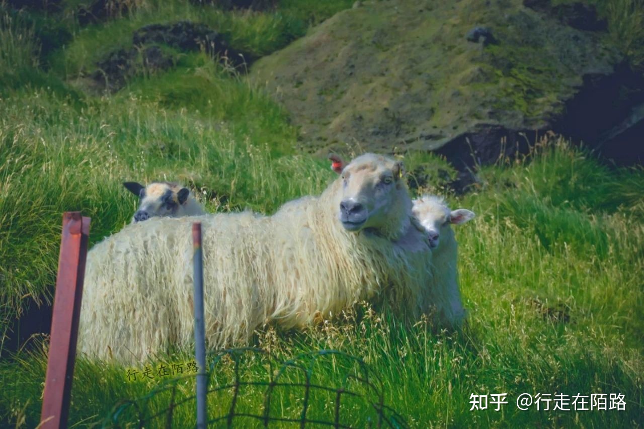 最孤独的房子：300年前突然出现，建造者是谁至今未知297 / 作者:划翔的青鸟纲 / 帖子ID:102576