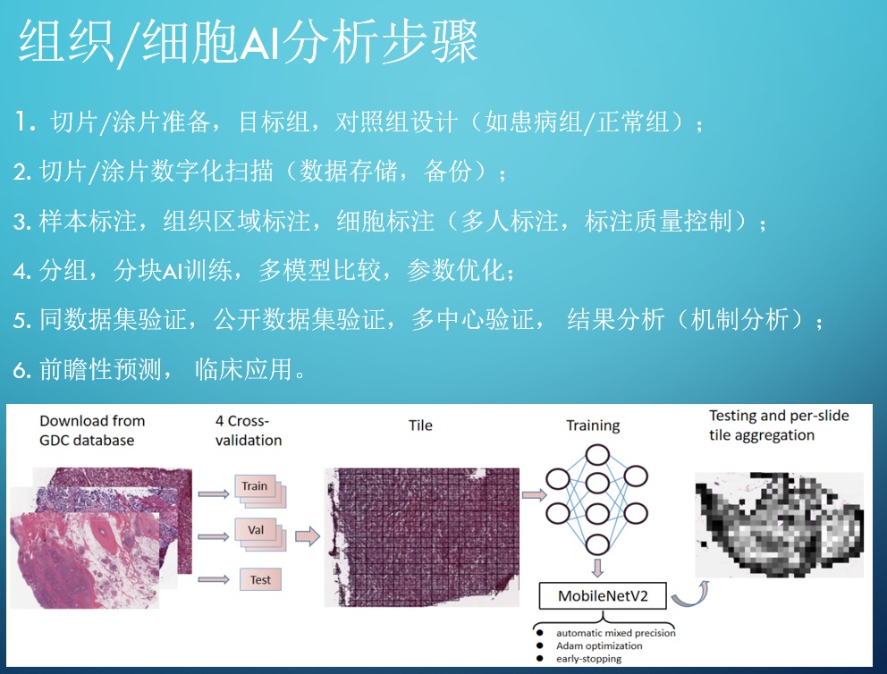 Cell | 三维样本中的空间蛋白质组学781 / 作者:卢云i / 帖子ID:103222