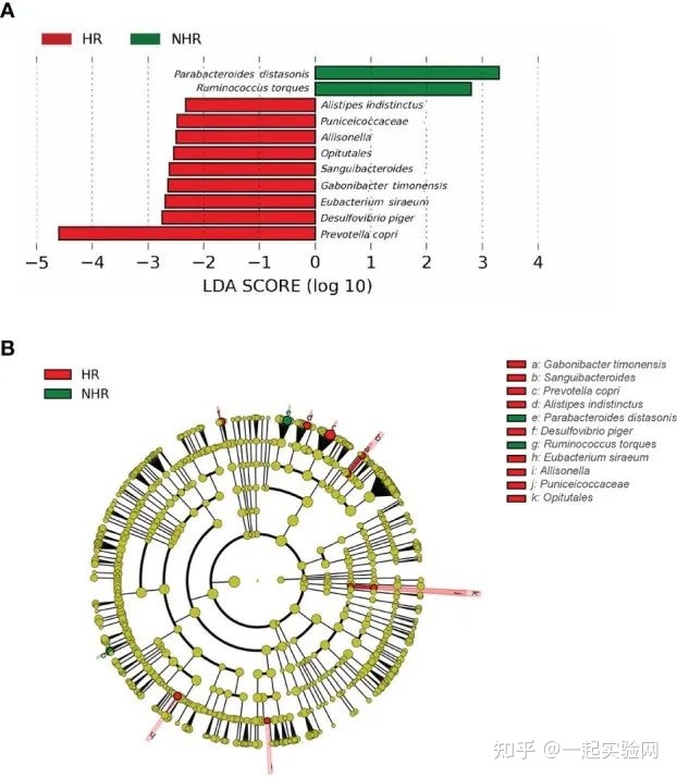 8.8分的微生物组学和代谢组学联合分析的横断面研究832 / 作者:空581 / 帖子ID:103223