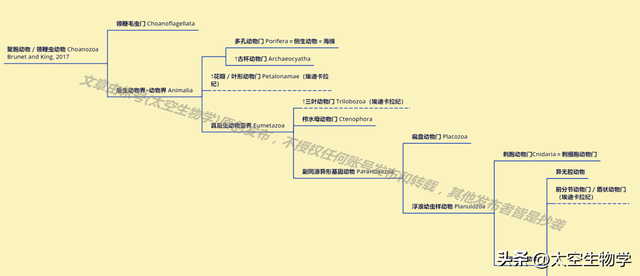 埃迪卡拉纪——生物种群与物种大灭绝239 / 作者:方的豆豆 / 帖子ID:103706