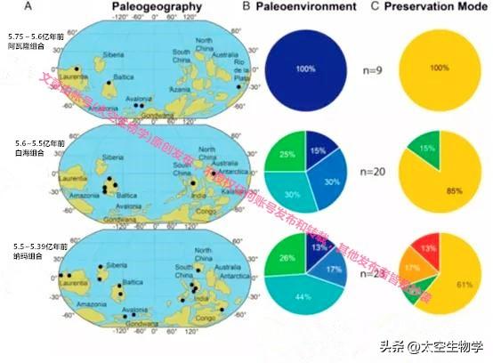 埃迪卡拉纪——生物种群与物种大灭绝475 / 作者:方的豆豆 / 帖子ID:103706