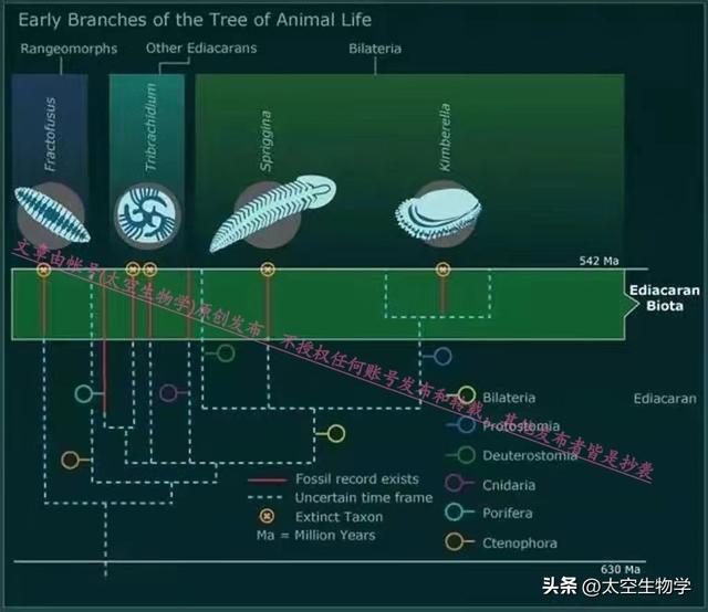 埃迪卡拉纪——生物种群与物种大灭绝665 / 作者:方的豆豆 / 帖子ID:103706