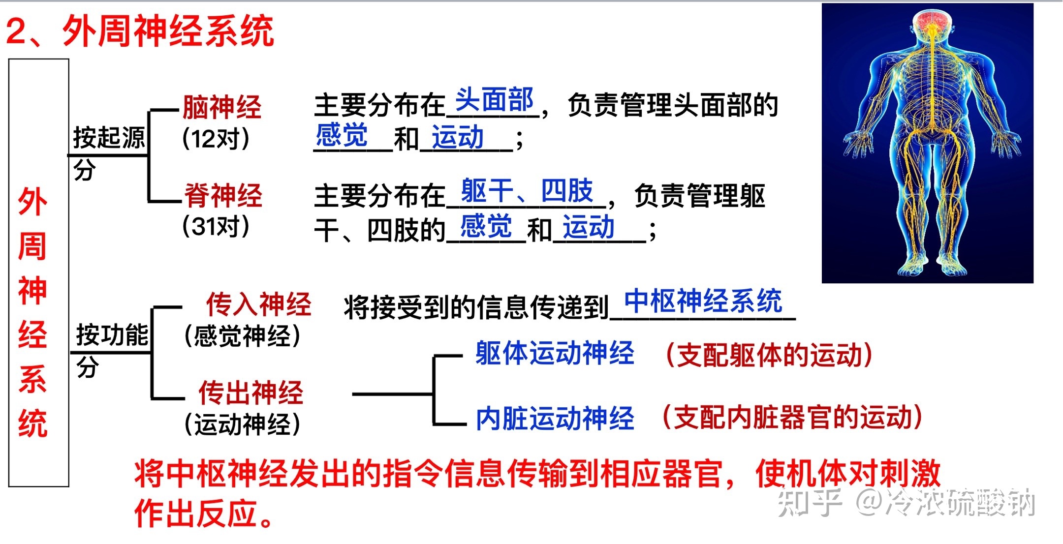 生物学选择性必修一重难易错点总结741 / 作者:风之语936 / 帖子ID:108309