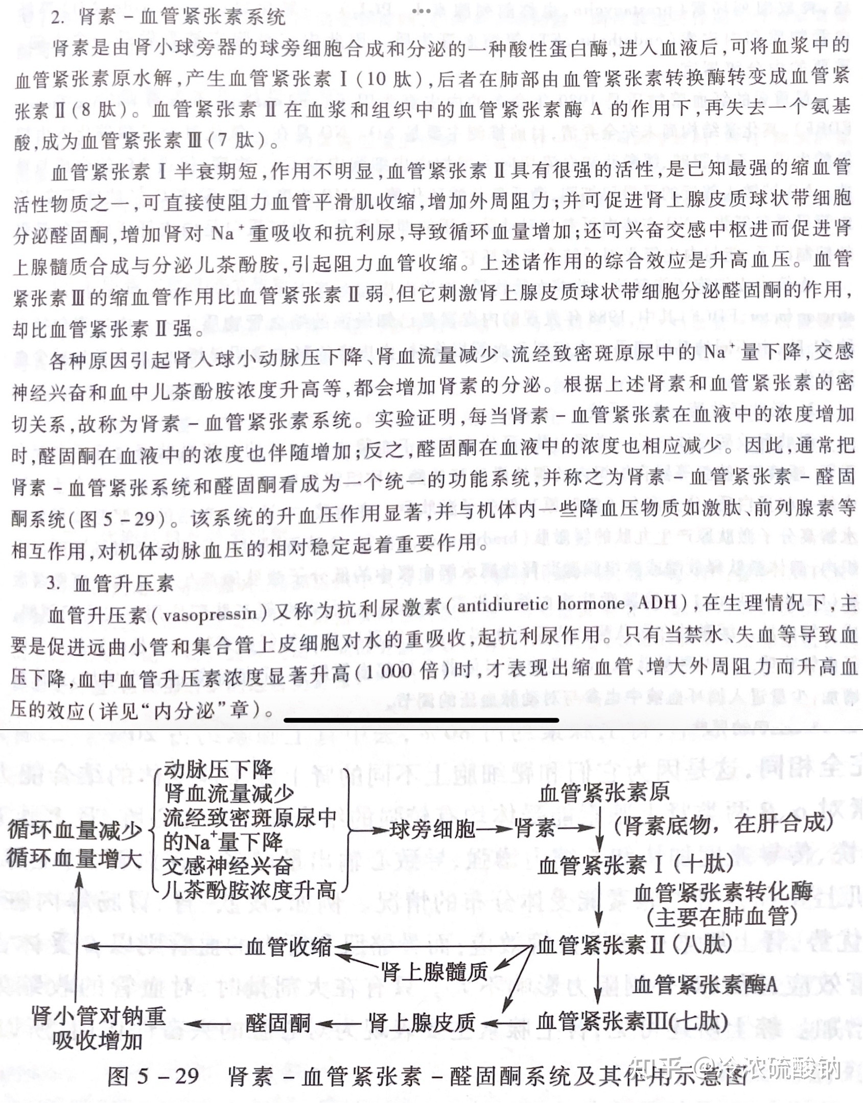 生物学选择性必修一重难易错点总结701 / 作者:风之语936 / 帖子ID:108309