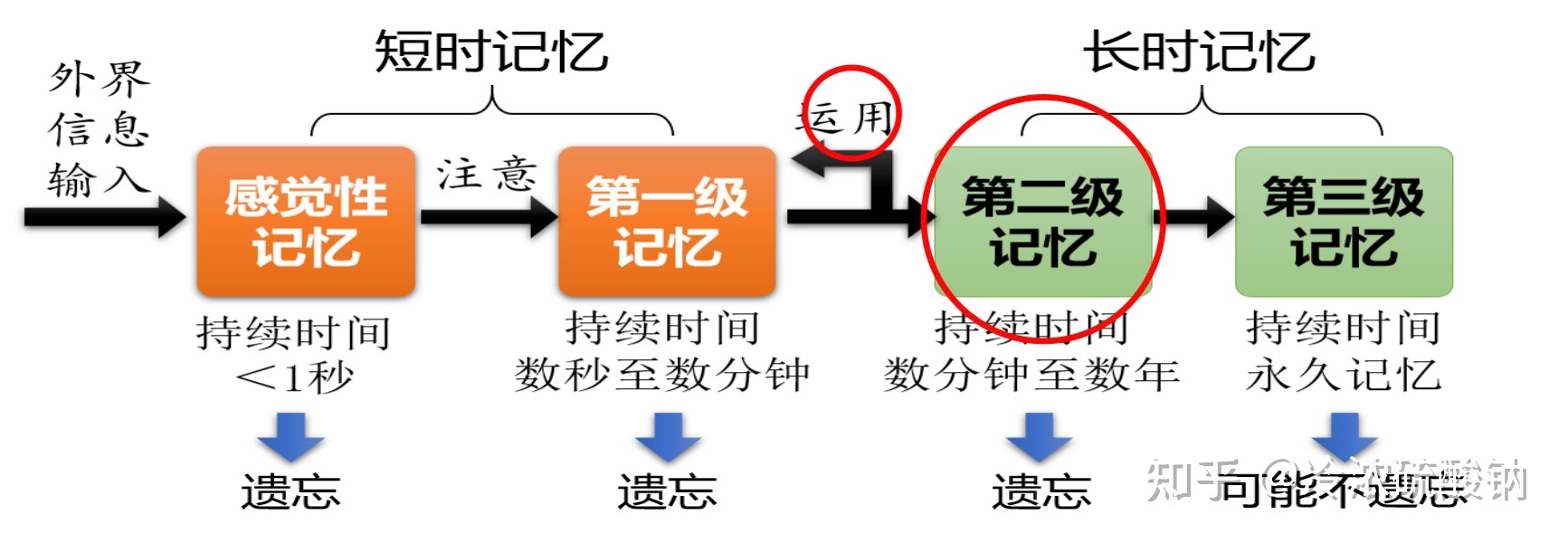 生物学选择性必修一重难易错点总结172 / 作者:风之语936 / 帖子ID:108309