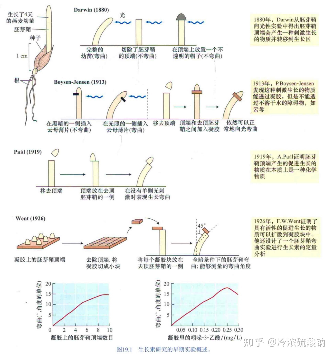 生物学选择性必修一重难易错点总结24 / 作者:风之语936 / 帖子ID:108309