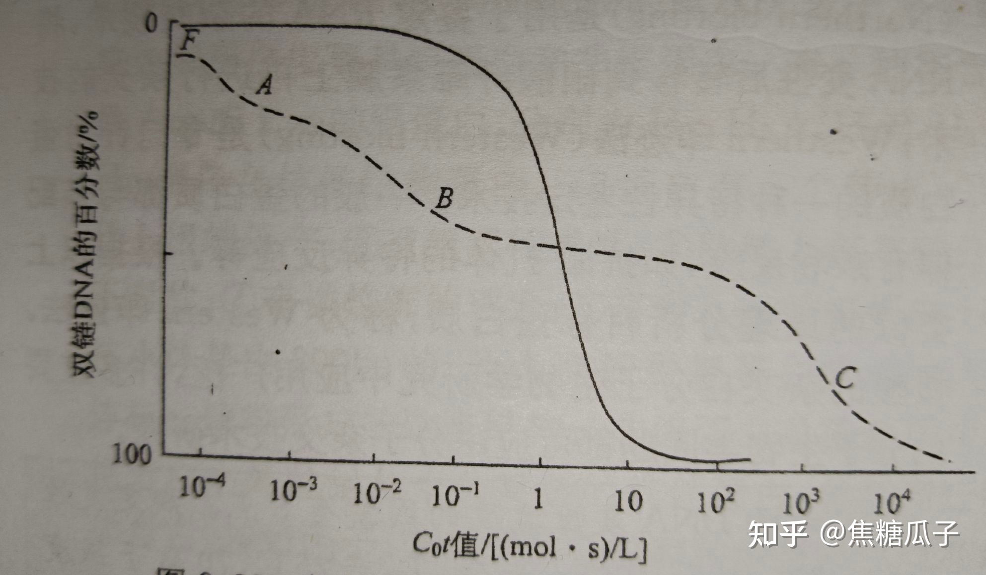 分子生物学 第二章 核酸的结构与功能868 / 作者:绘粹凭 / 帖子ID:108356