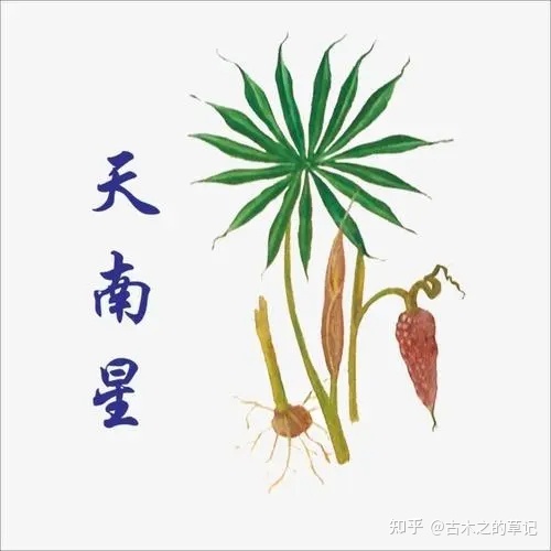 初探《本草图经》中的生物学知识621 / 作者:待该州伙 / 帖子ID:109206