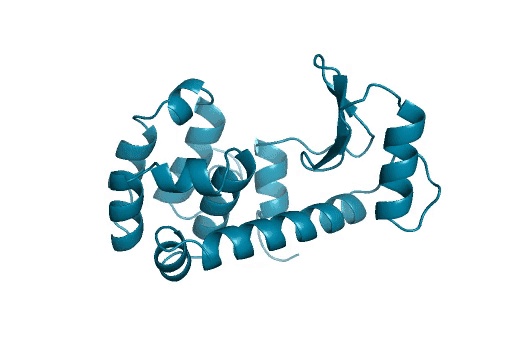 超越诺奖？生物界「ChatGPT」首次实现从零合成全新蛋白 ...397 / 作者:果仙奇缘称 / 帖子ID:109415