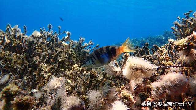 神秘消失事件越来越多，科学家也解释不了，都跟神秘地点有关608 / 作者:Holily1985 / 帖子ID:122341