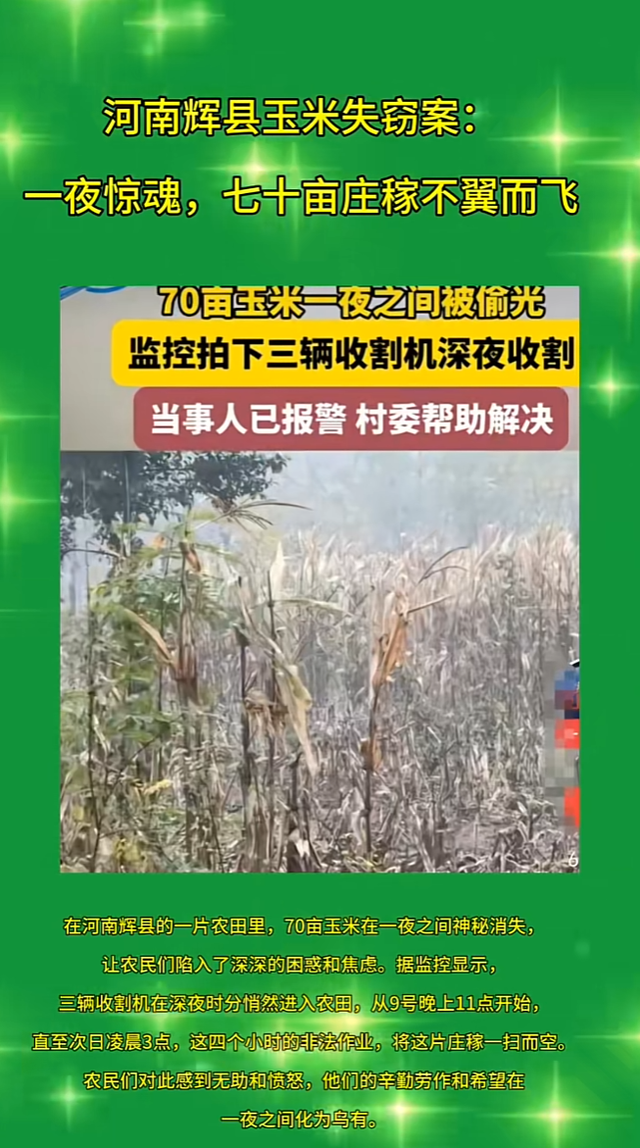 神秘事件：河南70亩玉米瞬间被偷，监控捕捉到关键线索951 / 作者:一段或九段肝 / 帖子ID:128593