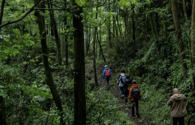 四川黄泉路：400年禁区背后的神秘失踪事件，究竟隐藏了什么？265 / 作者:昀离936 / 帖子ID:128658