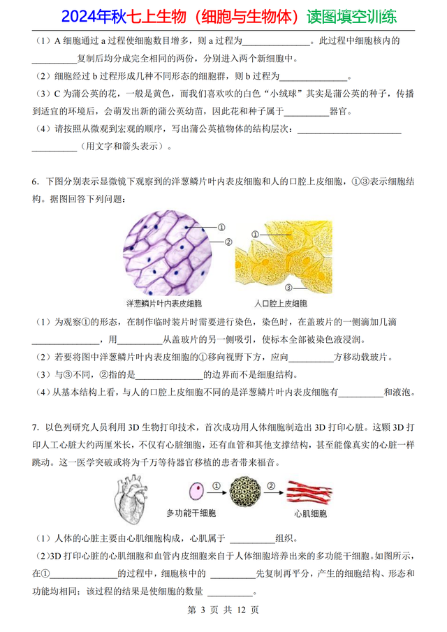 家长打印：24年七上生物（细胞）20道重点读图填空，做成专题训练381 / 作者:顺其自然362 / 帖子ID:128885