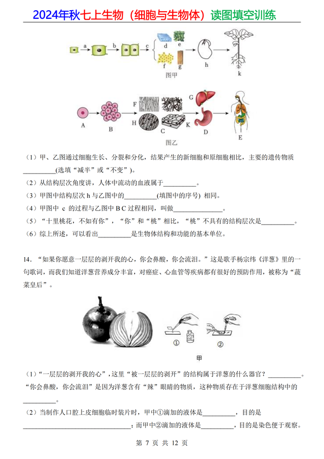 家长打印：24年七上生物（细胞）20道重点读图填空，做成专题训练594 / 作者:顺其自然362 / 帖子ID:128885