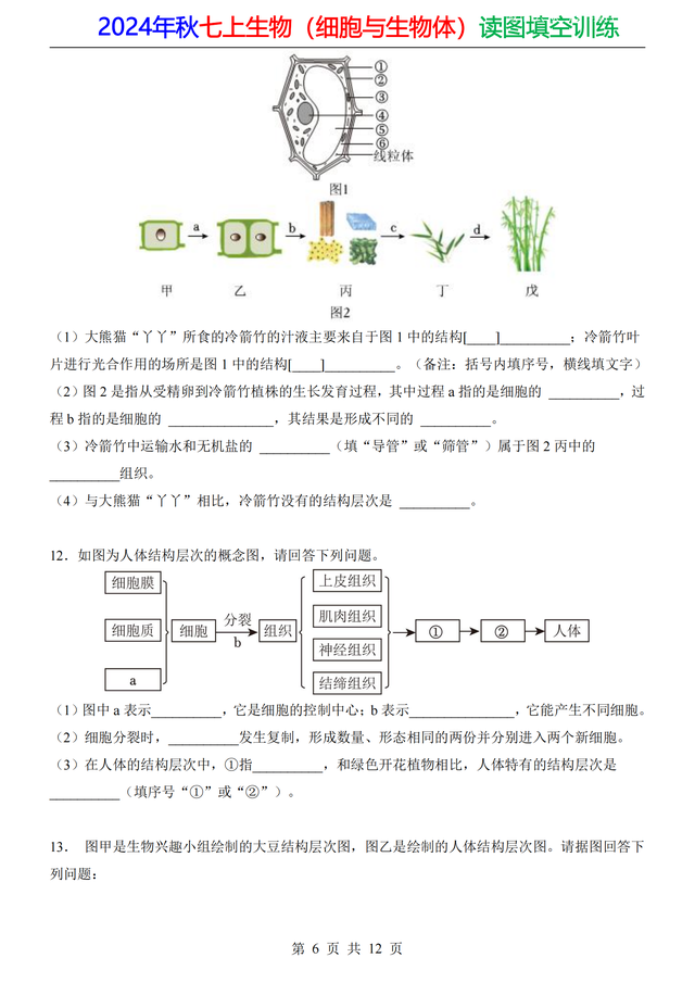 家长打印：24年七上生物（细胞）20道重点读图填空，做成专题训练534 / 作者:顺其自然362 / 帖子ID:128885