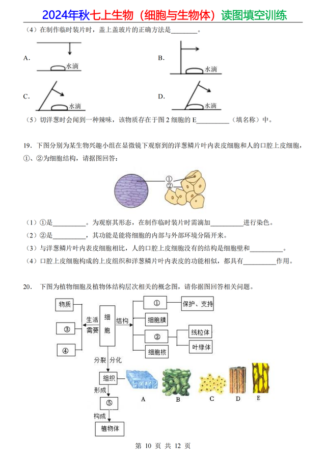 家长打印：24年七上生物（细胞）20道重点读图填空，做成专题训练476 / 作者:顺其自然362 / 帖子ID:128885