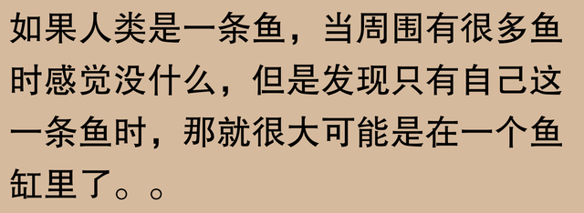 外星人不存在？网友：科技巨头为何如此忧虑？背后原因引人深思550 / 作者:风格飘逸风i / 帖子ID:128994