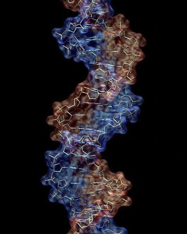 10个你难以理解的科学事实，看完后奇怪的知识又增加了980 / 作者:烟织成愁撼 / 帖子ID:129030