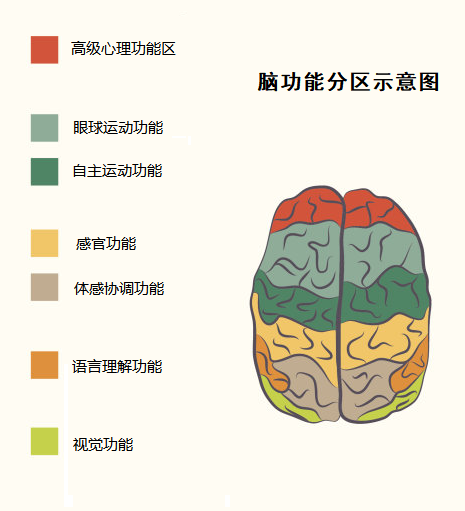 自己打自己脸：从大脑整体论到大脑分工论110 / 作者:UFO爱好者 / 帖子ID:68328