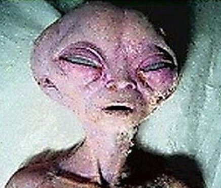 太空婴儿之谜盘点 女宇航员集体怀孕诞下太空婴儿823 / 作者:UFO爱好者 / 帖子ID:83612