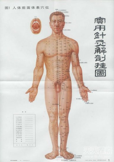 十大考古谜团 4200年前的彩色电视机 20亿年前的原子反应堆559 / 作者:UFO爱好者 / 帖子ID:82472