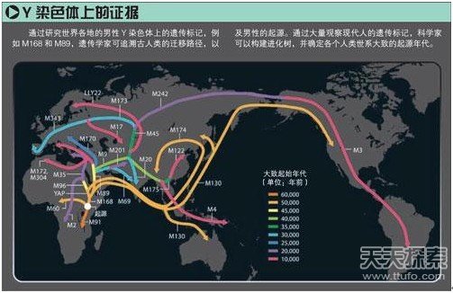 至今未解之谜：地球深处另类人种之谜896 / 作者:UFO爱好者 / 帖子ID:82068