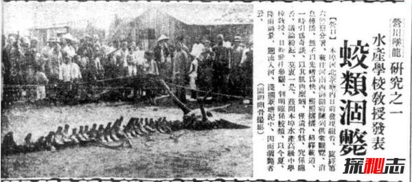 1934年辽宁营口坠龙事件是真的吗 无确切证据证明（假的）448 / 作者:UFO爱好者 / 帖子ID:99410