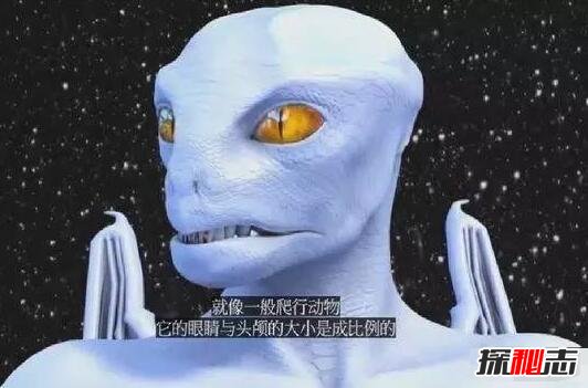 解密!阿尔法天龙星人：精通遗传,统治整个宇宙(外星皇室)783 / 作者:UFO爱好者 / 帖子ID:98451