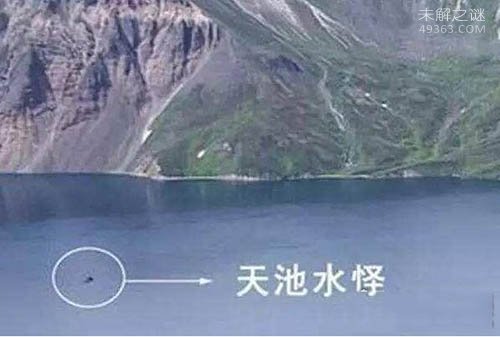 中国三大水怪之谜：青海湖水怪疑似蛇颈龙306 / 作者:UFO爱好者 / 帖子ID:73940