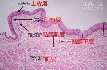 人体自救九大奇招359 / 作者:UFO爱好者 / 帖子ID:68019