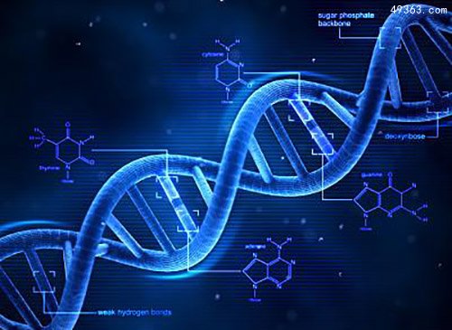 科学技术可确定某个特定的遗传序列源于母亲还是父亲267 / 作者:UFO爱好者 / 帖子ID:67062