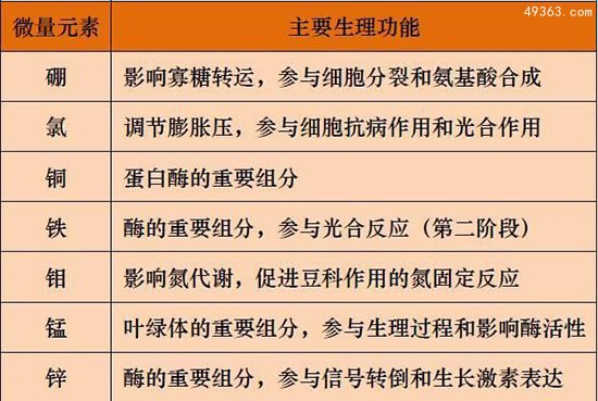 什么食物含有微量元素多？微量元素有哪些?970 / 作者:UFO爱好者 / 帖子ID:66924