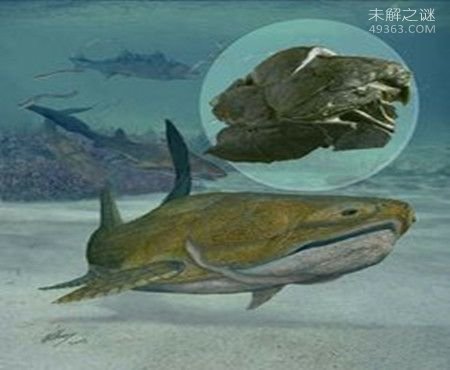 奥古布古：一种来自远古的生物“水中的恶魔”415 / 作者:UFO爱好者 / 帖子ID:76977