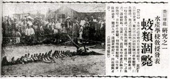 历史上是否真的有龙？揭秘1934年营口坠龙事件真相483 / 作者:UFO爱好者 / 帖子ID:78978