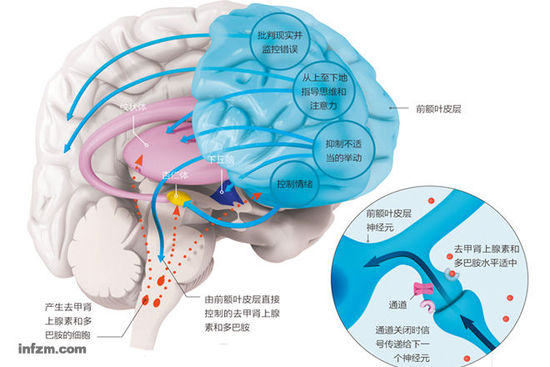 压力将导致逻辑思维能力减弱甚者完全丧失554 / 作者:UFO爱好者 / 帖子ID:81180