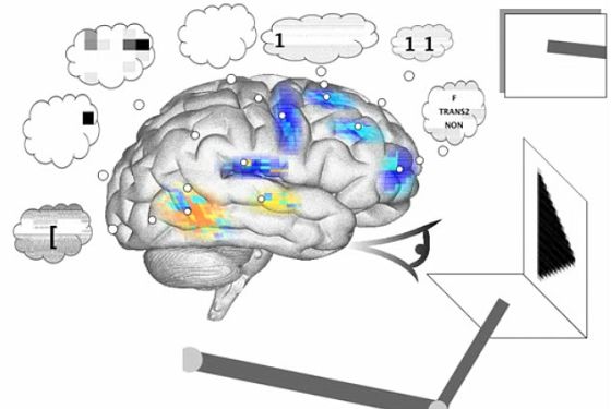 科学家制成迄今为止最复杂人造大脑:能够处理视觉线索，并在纸上531 / 作者:UFO爱好者 / 帖子ID:79486