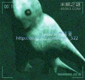 克苏鲁神话怪物，真实存在的终极巨兽495 / 作者:UFO爱好者 / 帖子ID:76177