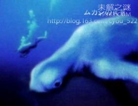 克苏鲁神话怪物，真实存在的终极巨兽10 / 作者:UFO爱好者 / 帖子ID:76177