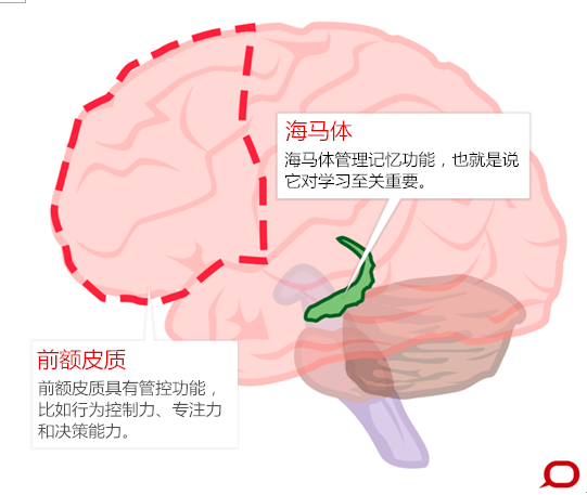 为何糖分对青少年大脑发育有害487 / 作者:UFO爱好者 / 帖子ID:70092