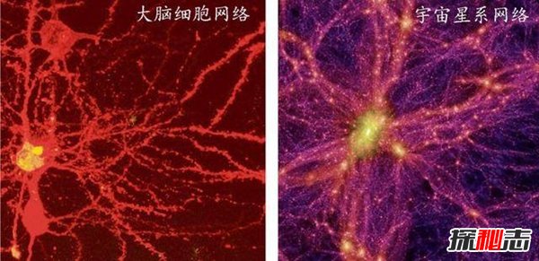 宇宙其实是人的大脑，人脑结构竟与宇宙结构极其的相似276 / 作者:UFO爱好者 / 帖子ID:98303