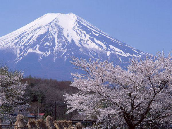 富士山式爱情是什么样？如何进行富士山式恋爱589 / 作者:UFO爱好者 / 帖子ID:92515