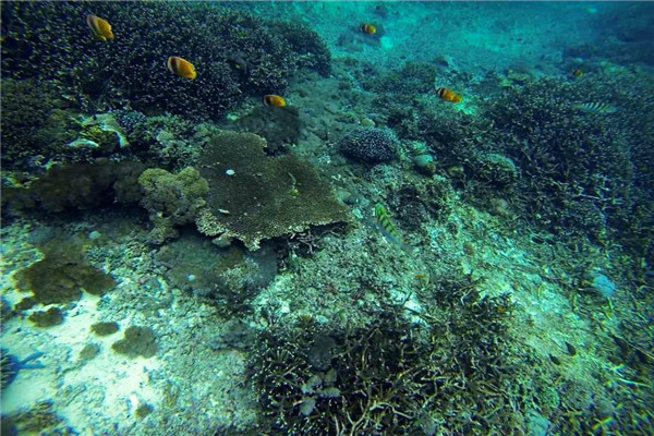 海水中含量最多的元素 海水中氧含量的来源225 / 作者:UFO爱好者 / 帖子ID:87722