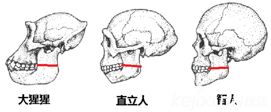 为何不可能是外星人造人771 / 作者:UFO爱好者 / 帖子ID:79213