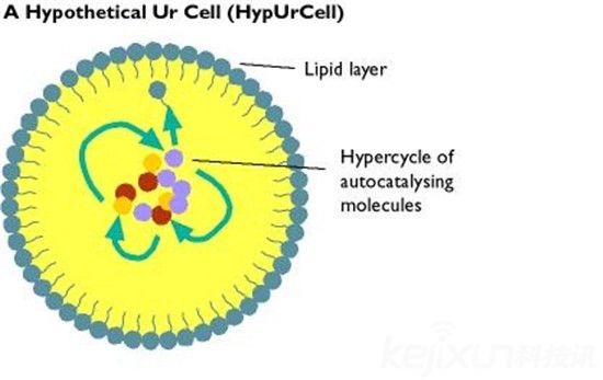 为何不可能是外星人造人884 / 作者:UFO爱好者 / 帖子ID:79213