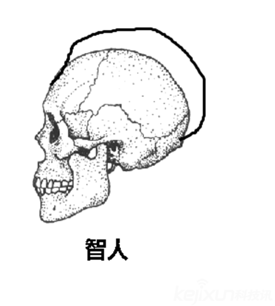 为何不可能是外星人造人330 / 作者:UFO爱好者 / 帖子ID:79213